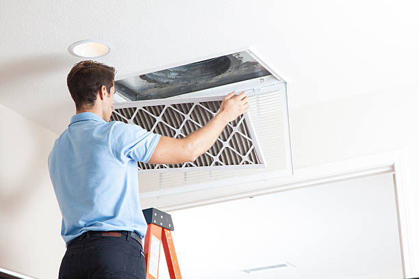 Best HVAC cleaning services  in Westchase, FL